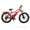 Wide Tyre Aluminium frame electric bicycle for adult